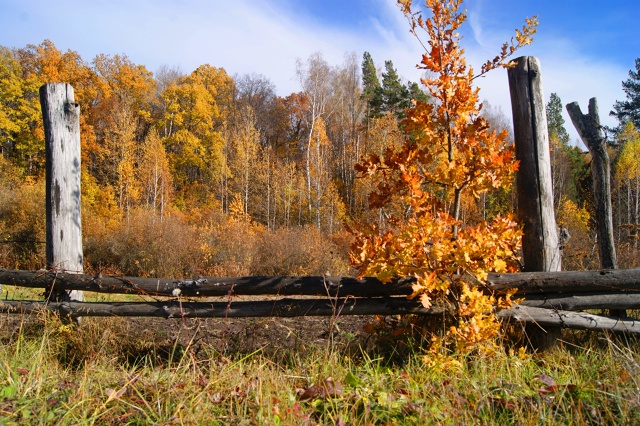 Доброй ночи, Никольск❤