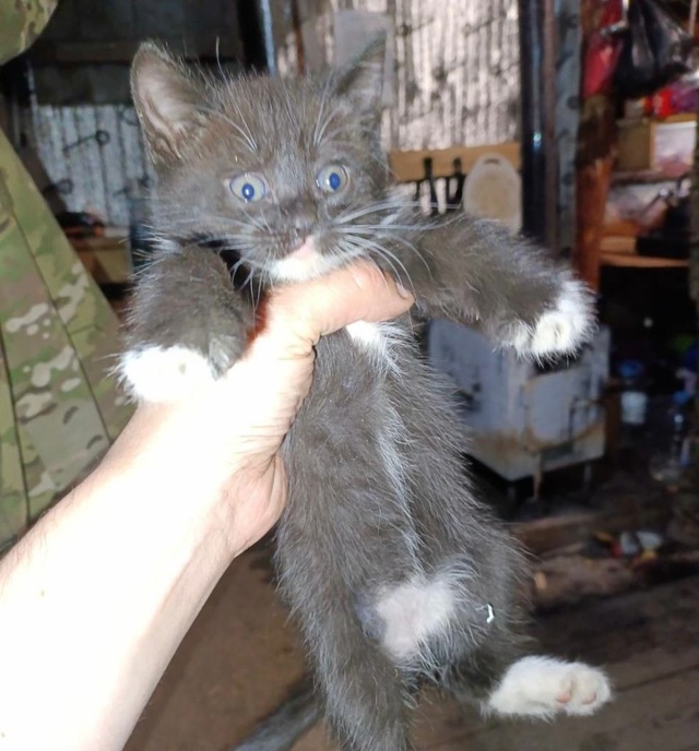 Искали сегодня Петю Селёдочкина после обеда - обшарили...