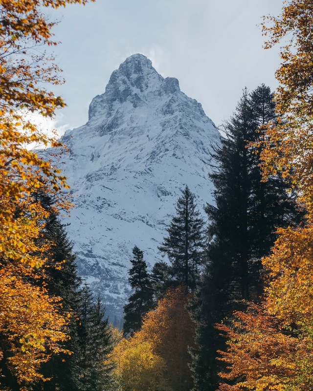 Домбай 🇷🇺