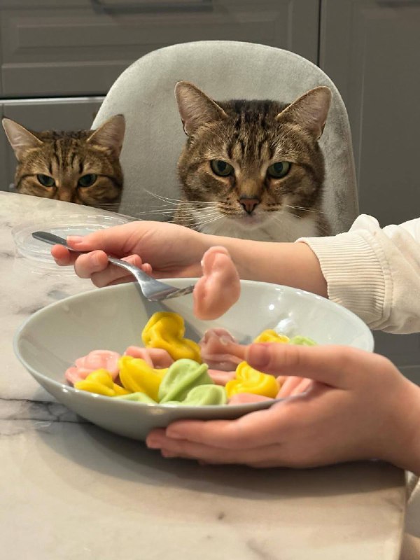 Пелбмешки, зочем вы дурманите меня?????