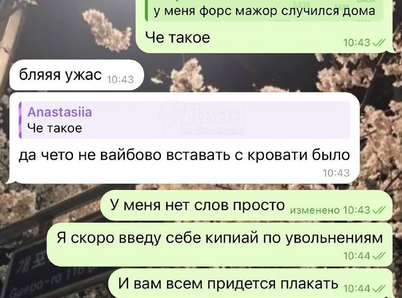 Взяли этого вашего зумера на работу. Ох и зря мы это сделали…
