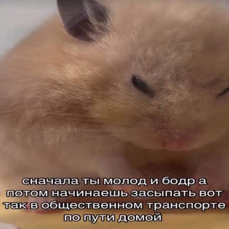 Утренняя подборочка