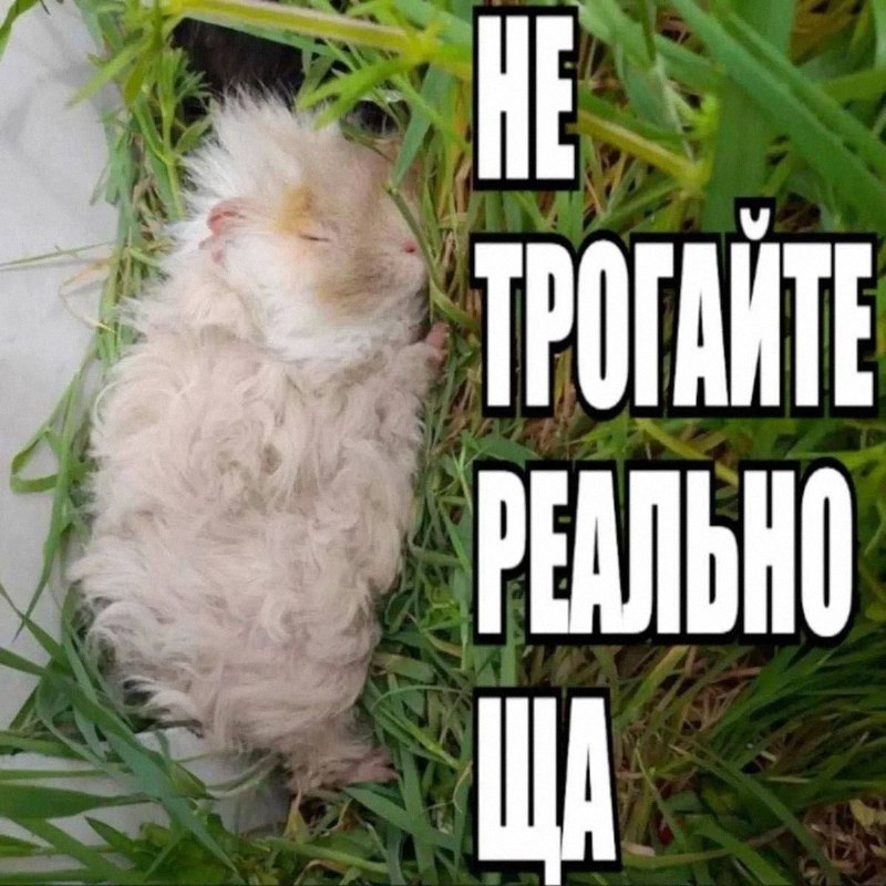 Утренняя подборочка