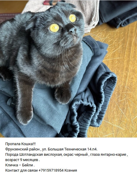 Пост добра. Распространите, пожалуйста.
