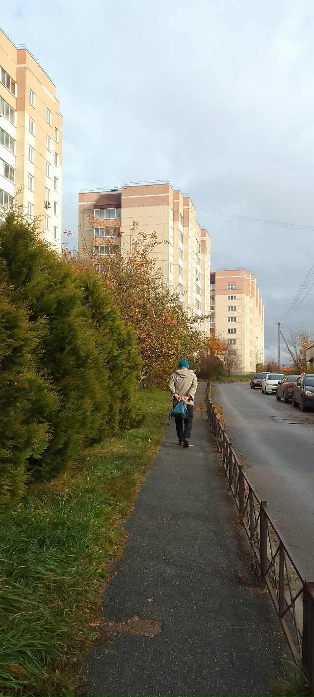 Осенние краски осени