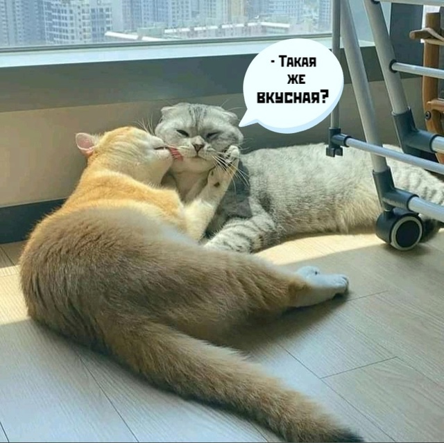 =>