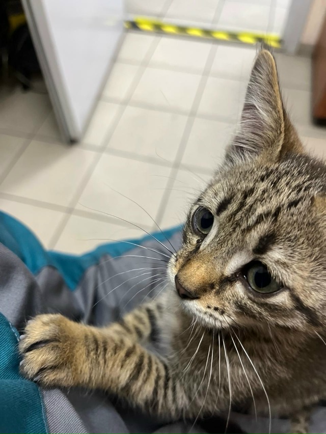 Сидим мы, значит, в ебудашке, ебем вола и потягиваем май...