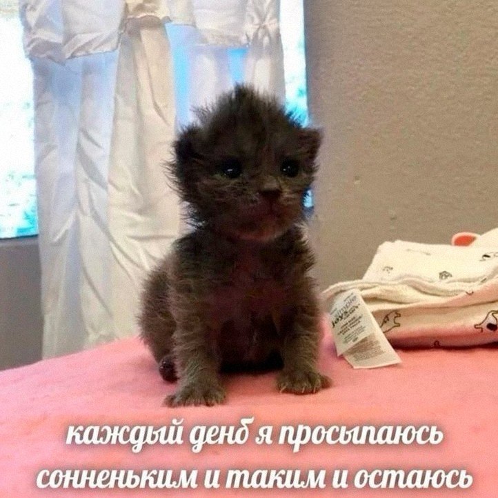 Утренняя подборочка
