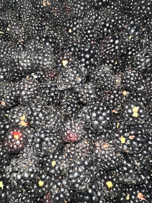 ⚠🍓⚠🍓⚠🍓⚠🍓⚠🍓 Ягодный фейерверк!!!!! Четверг-пятн?...