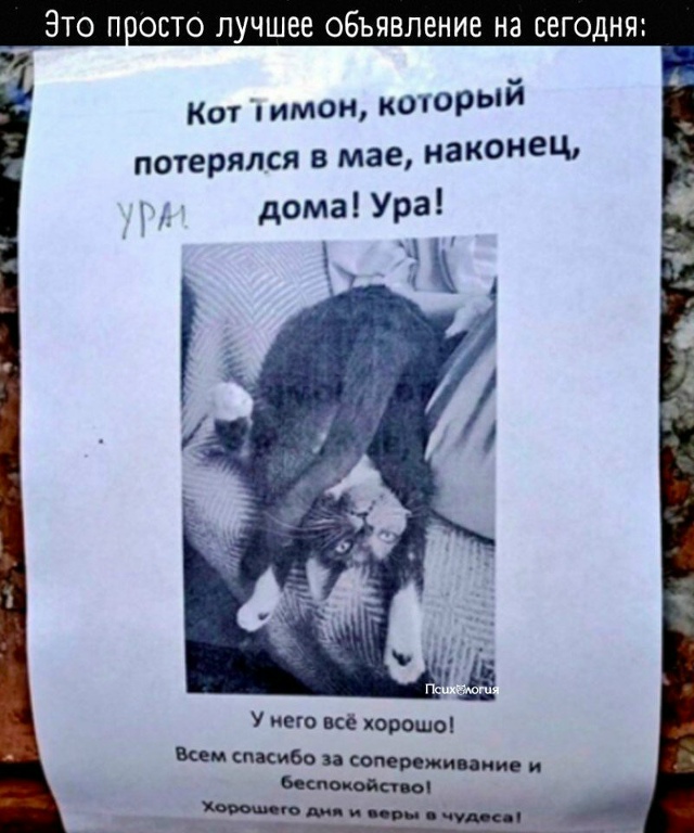 Отличная идея развешивать не только плохие объявления...