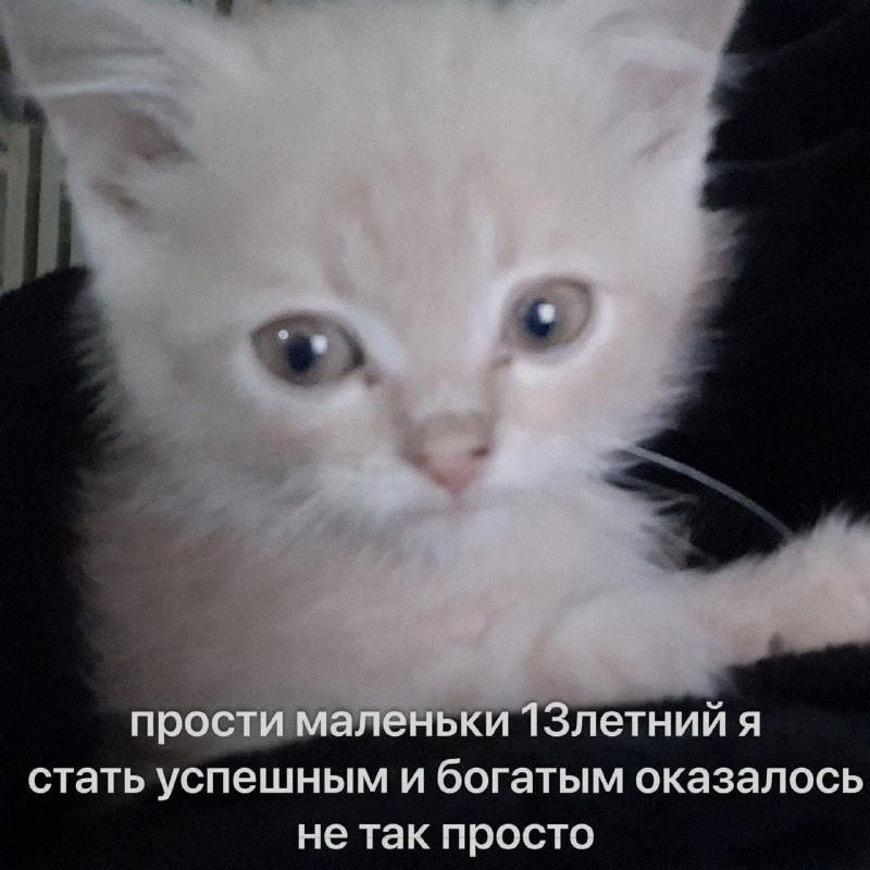 Ночная подборочка
Спать, режим