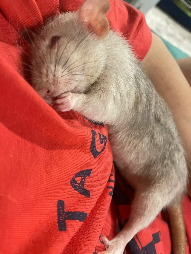 😭Крик о помощи...
Дорогие друзья, меня зовут Маша и я в?...