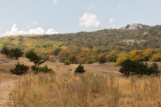 Более 180 млн рублей до конца 2028 года будет направлено в ...