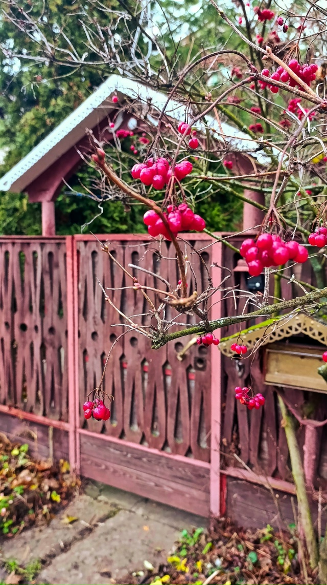 В пасмурной погоде свой кайф😊
Норское