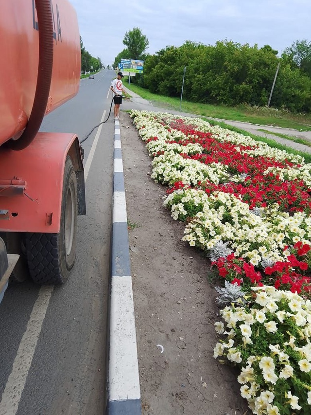 💧 Специалисты благоустройства осуществляют полив в ц...
