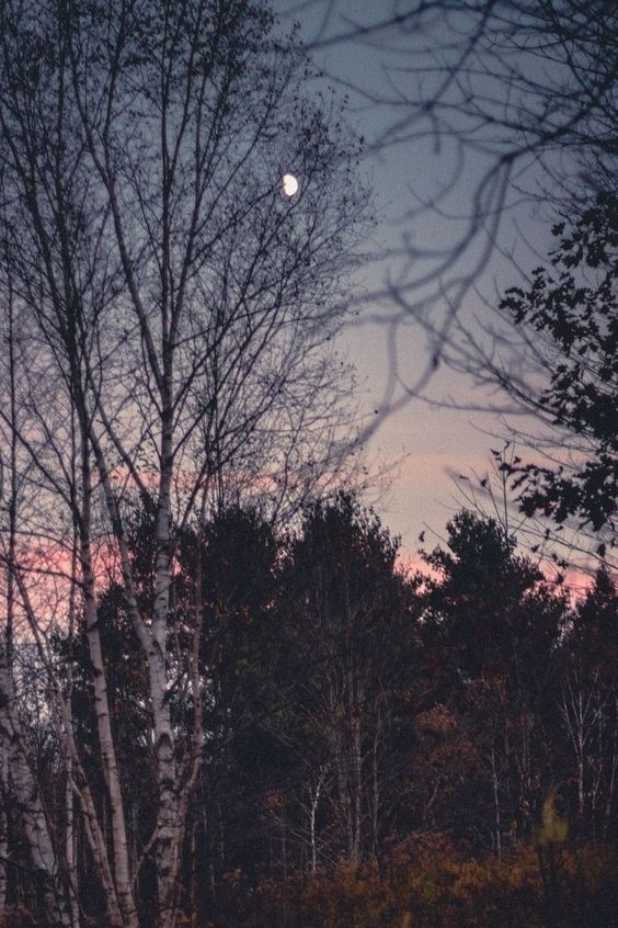 Когда ложишься спать, положи под подушку пару хороших ?...