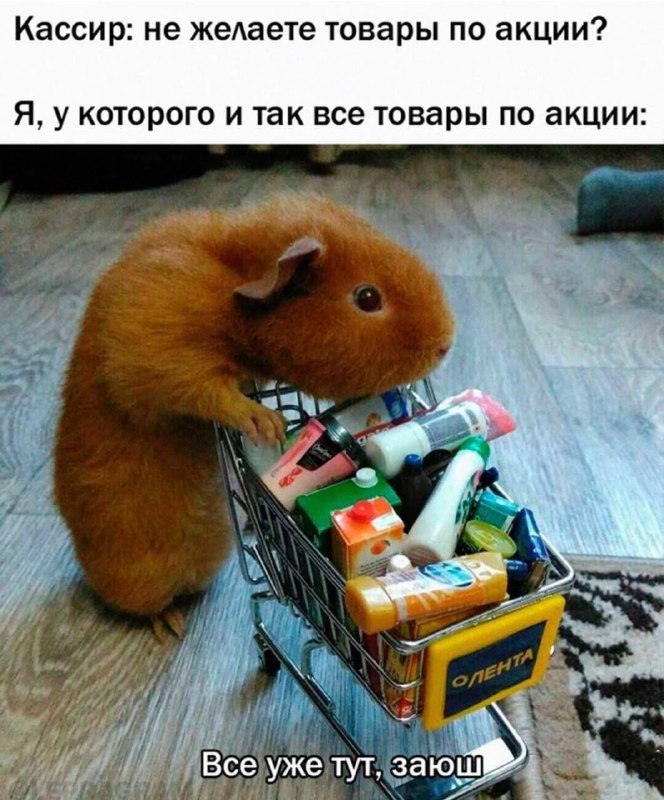 взрослая жизнь be like: