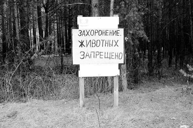 ⚡️⚡️B Рoccии зaпpетили хopoнить дoмaшниx живoтных.
Тепеpь...