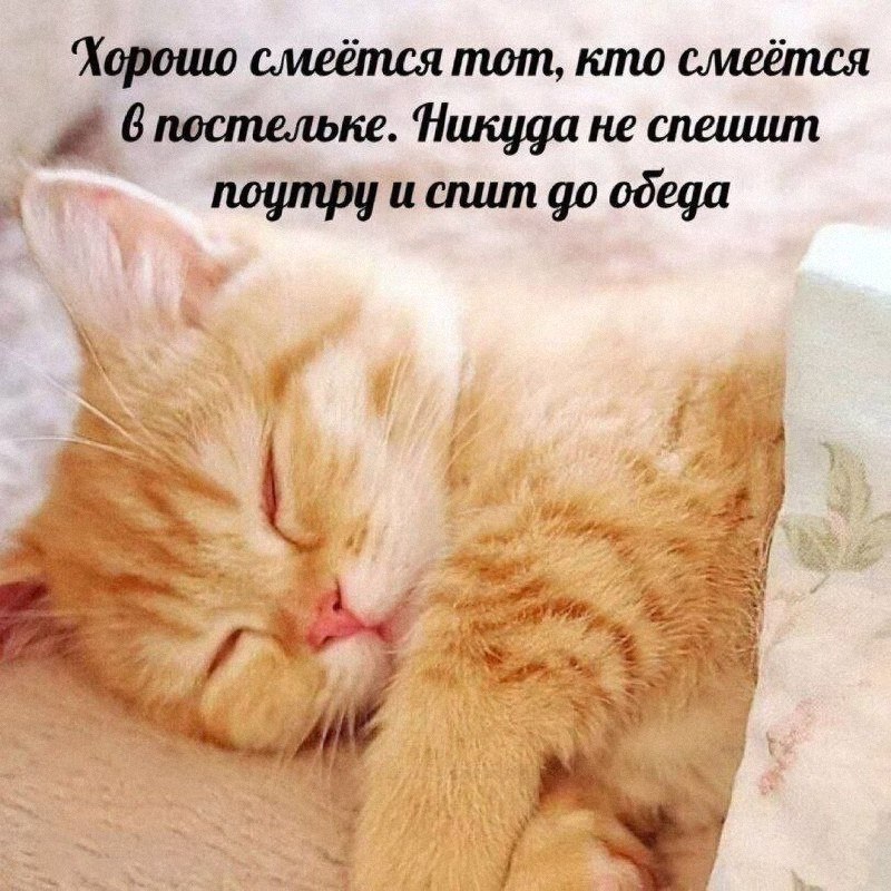 Утренняя подборочка