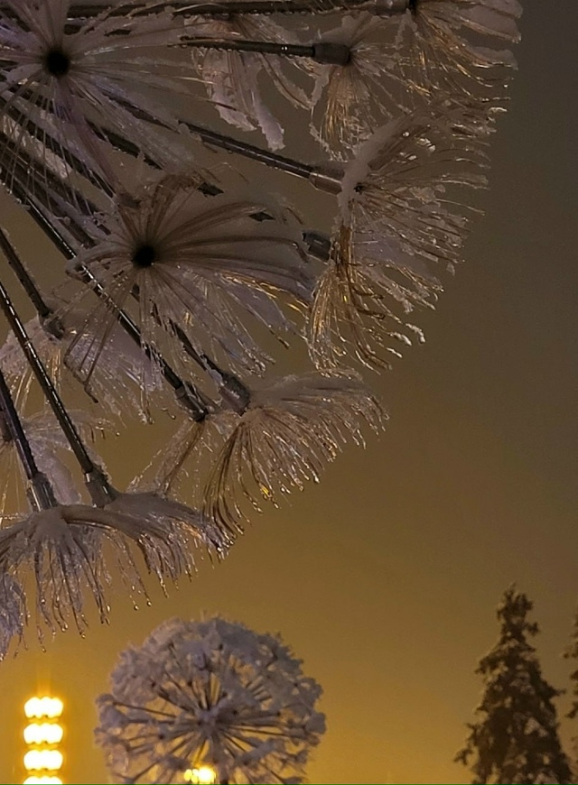 Однажды нoчью на ВДНХ 😍