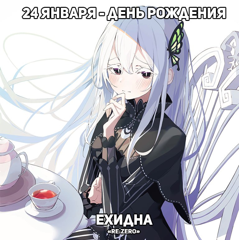 🎉24 января - День рождения Ехидны из аниме «Re:Zero»