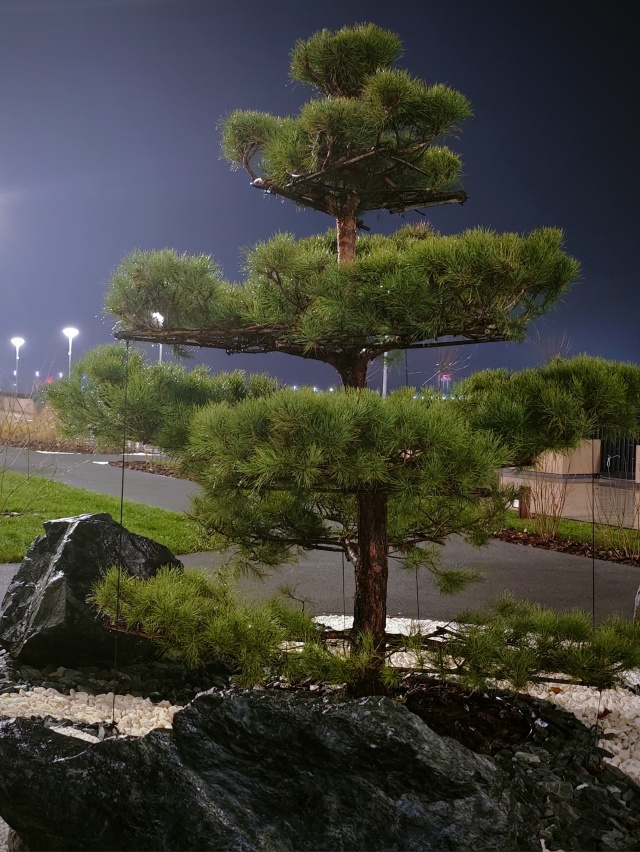 Набережная Перми с ландшафтом в японском стиле.