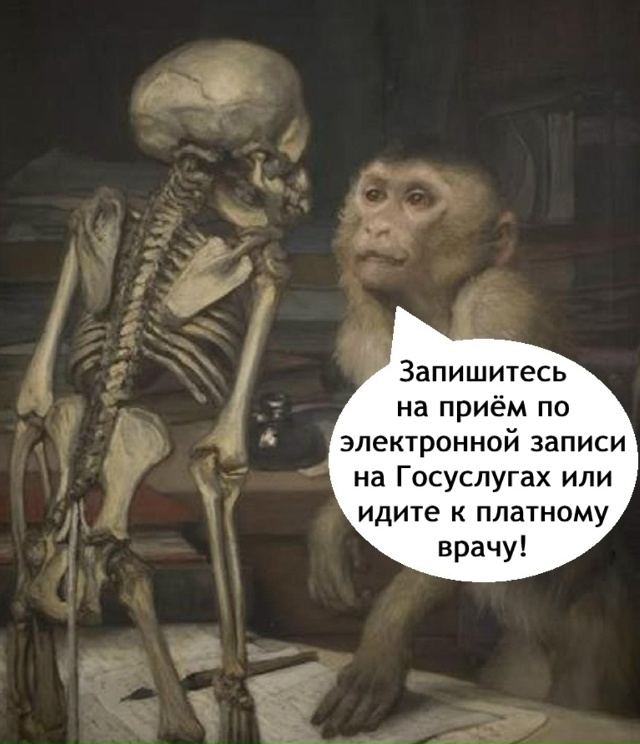 Что за жиза!