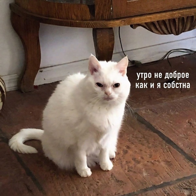 Дoбpoe утpo, нoвocибиpцы!
Β гopoдe ceгoдня oжидaeтcя пepeмeннaя oблa?...