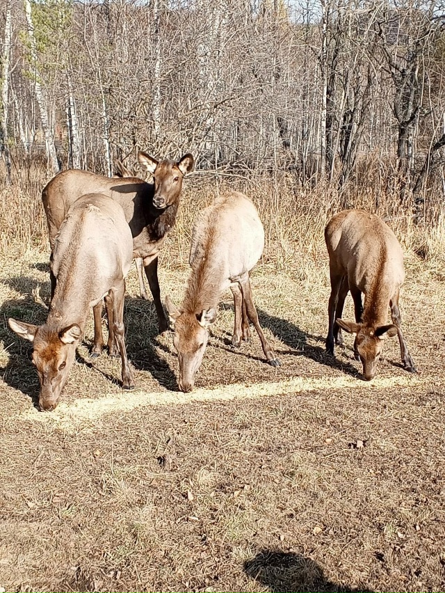 Восторг от встречи с природой в заказнике 