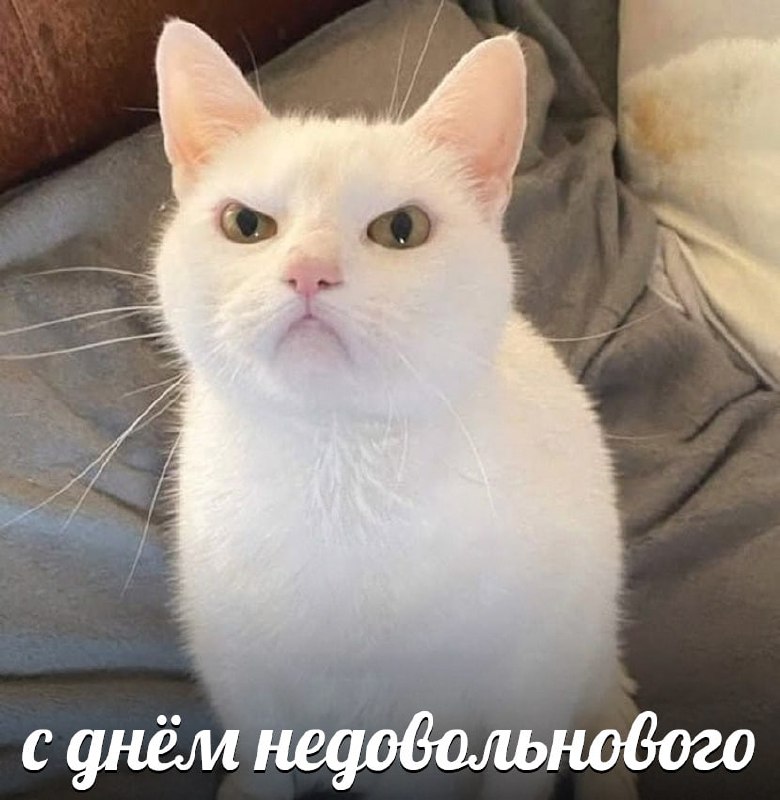 Сегодня отмечается День вечно недовольных людей
Ты знаешь, кого поздравить