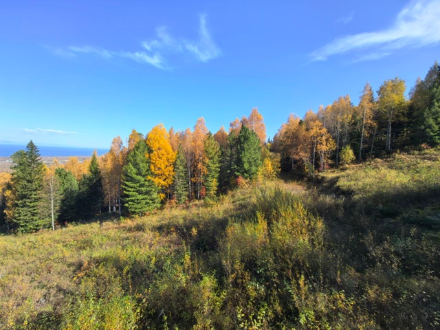 🤩Супер красота осени на Байкале — от подписчика