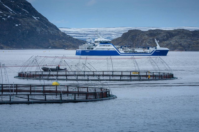 🐟407 000 голов атлантического лосося и радужной форели н...