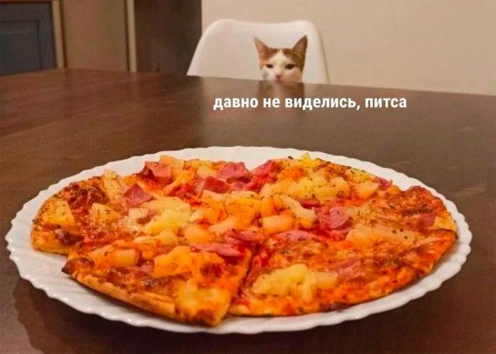 Сегодня отмечается День нездоровой пищи
Сегодня можно сорваться