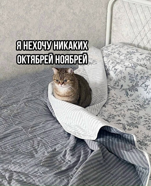 Доброе утро, Усинск