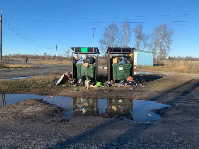 Задворка,почему-то не вывозят мусор?
