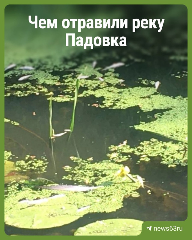 🔴 В Самарской области зафиксировано экстремально выс...