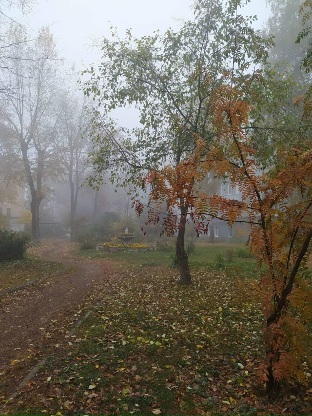 Октябрь🍁 Утро...
Туман 🌁...
Ворона на качелях.😊
Утро д...