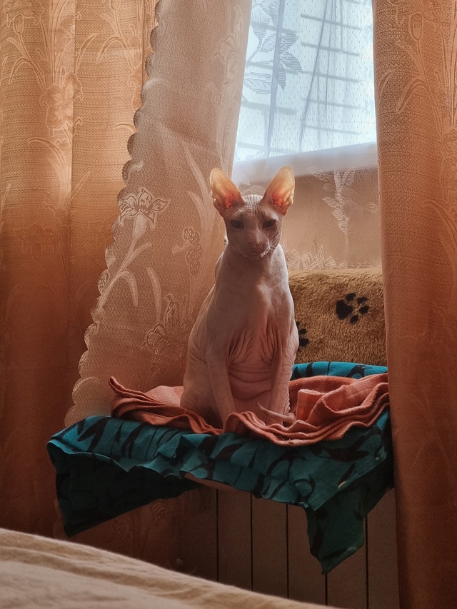 Всем привет! Мы тут новенькие, хотя и давно следим )
Зна?...