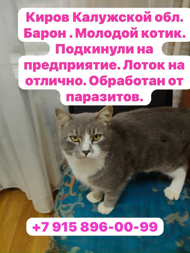 Киров . Калужской обл. Лоток на отлично 👍. Подкинули на...