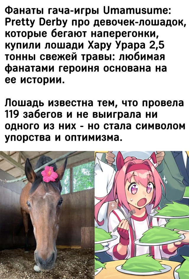 Всем это понравилось