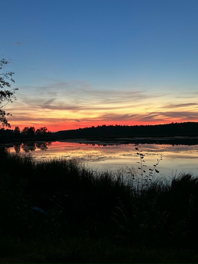 🌳 Выходные в