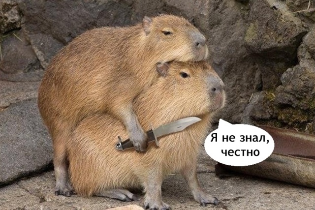 Мужики не делайте так, это опасно