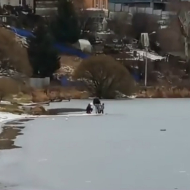 На Мотопруду первый тонкий ноябрьский лёд который еше ...