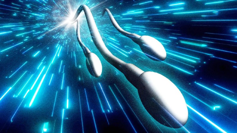 У мужчин появился новый тренд — «спермаксинг».
В тематических сообществах парни обсуждают качество