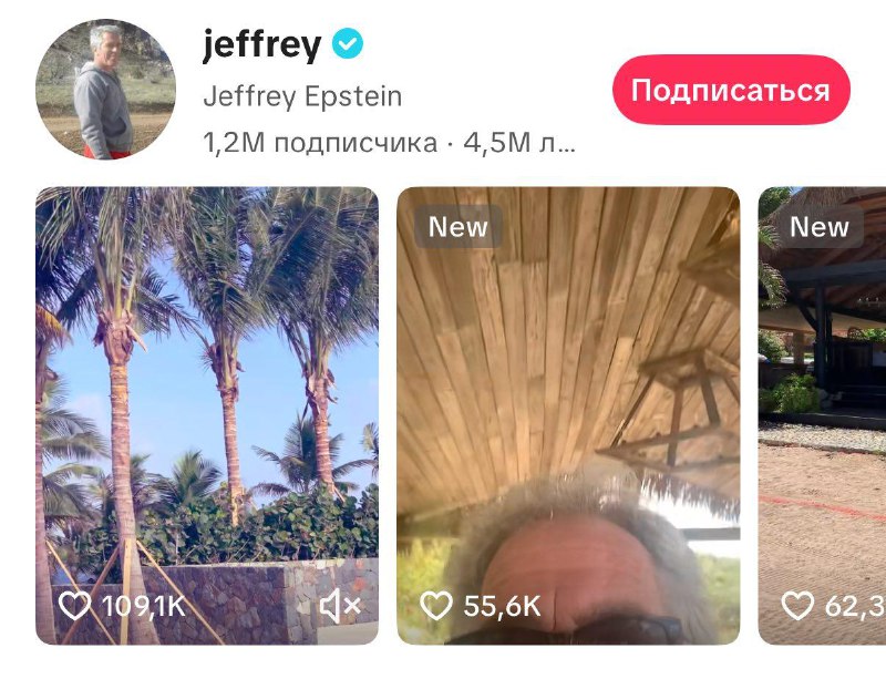 В TikTok появился аккаунт Джеффри Эпштейна с синей галочкой.
За два дня на него подписались около