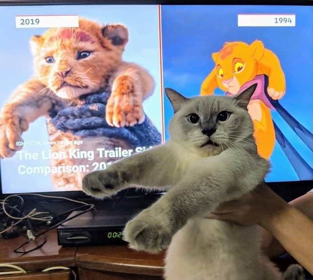 Король Лев...😂