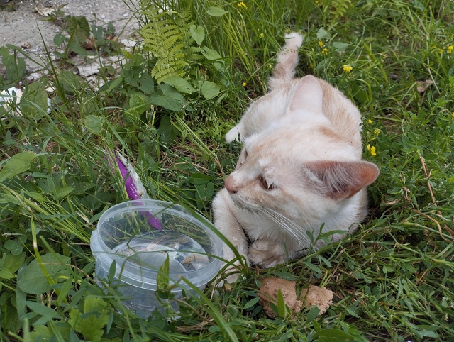 Около магазина 