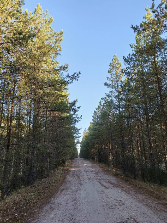 Доброй ночи, Никольск❤