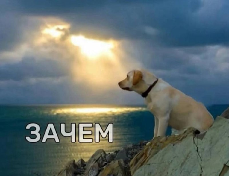 *в хорошем настроении соглашаюсь на встречу с друзьями в выходные*
я, как только наступают выходные