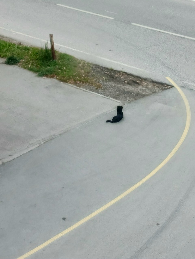 Ваши вопросы.
1⃣ На следующей неделе из Перми кто може?...